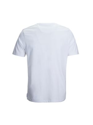 Camiseta M/C Organpoc Algodón Orgánico para Hombre