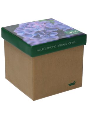 Medias Bambú Mujer PACK GIFT HOR