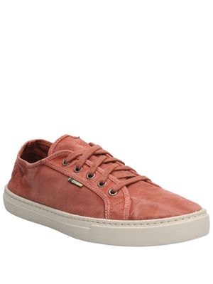 Zapatilla ALGODON ORGANICO Hombre Bronte