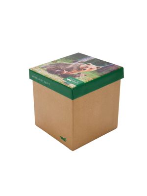 Medias Rfv25H Pack Gift Bea Hombre